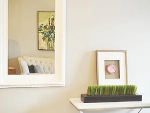 Home Castle Hill Glaziers 5 Mirrors Caboolture